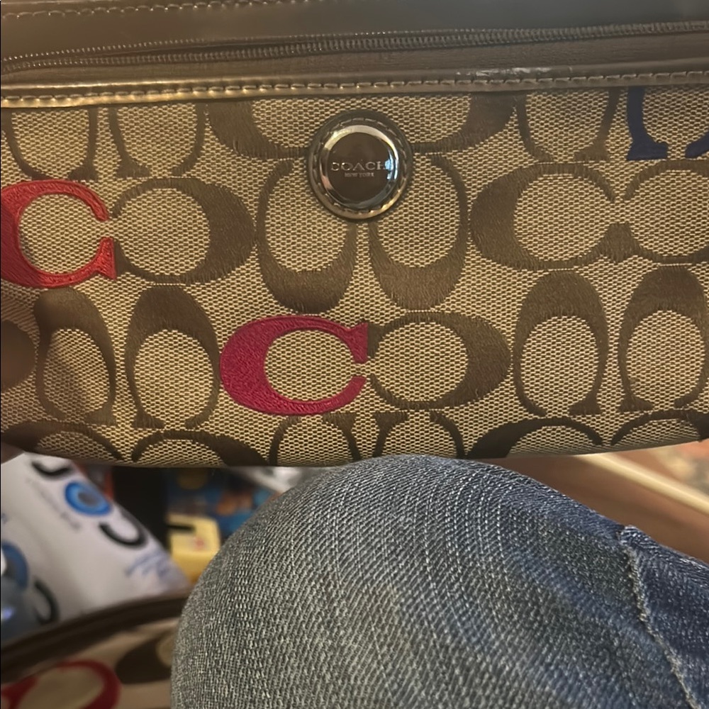 Coach Multicolor Signature Canvas Bag